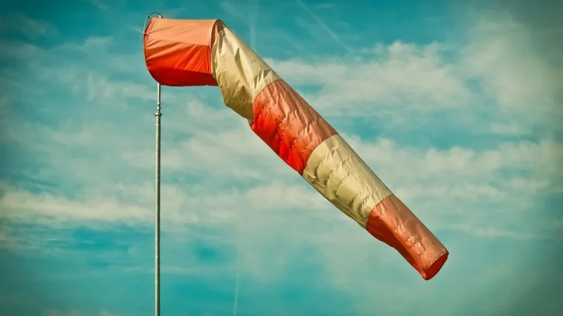 10 Par Skarpety BEZUCISKOWE Bawełniane 42-46 roz.