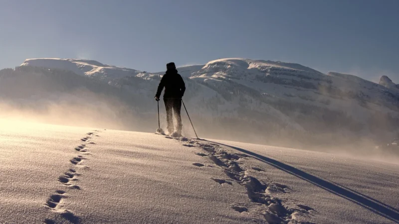 4F Trekkingowy H4L22 Pcf001 Czarny 21S