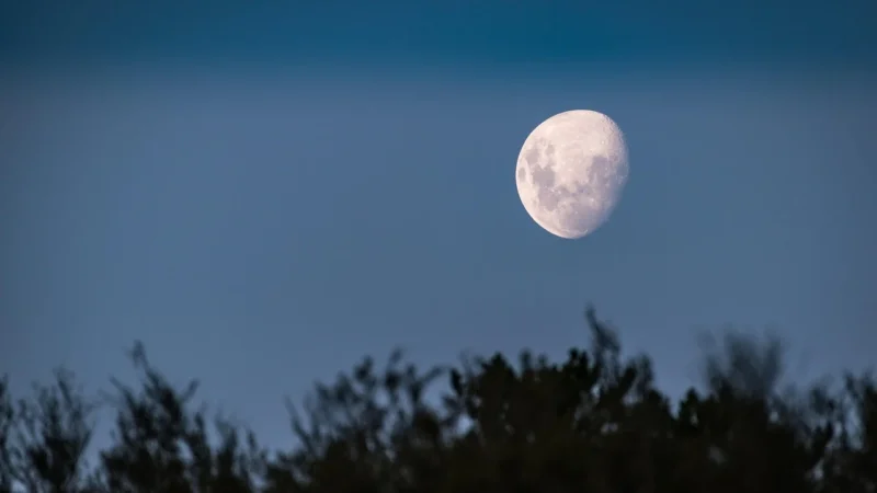 Banana Moon Torebka Seta Lohan KBJ53 Różowy