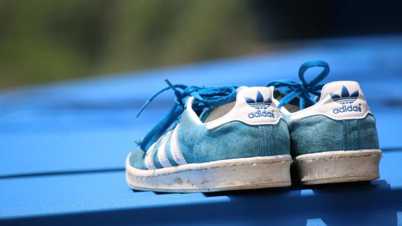 Buty adidas Terrex Eastrail BC0973