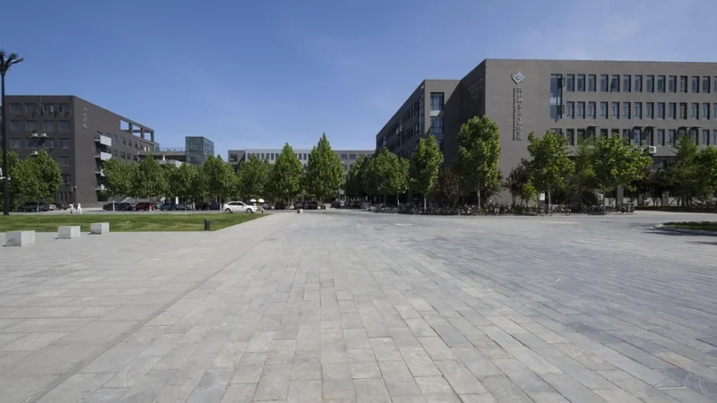 CAMPUS Czarna Koszulka Z Krótkim Rękawem Damska Bawełniana – Yarra- Zamów na Decathlon.pl – 30 dni na zwrot – Czarny