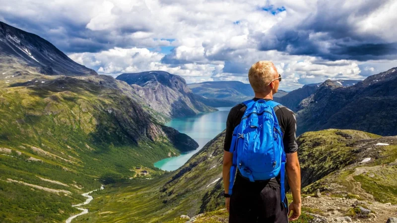 Ciemnozielony Włoski Stylowy Plecak Damski Skórzany Zamsz A4 W14