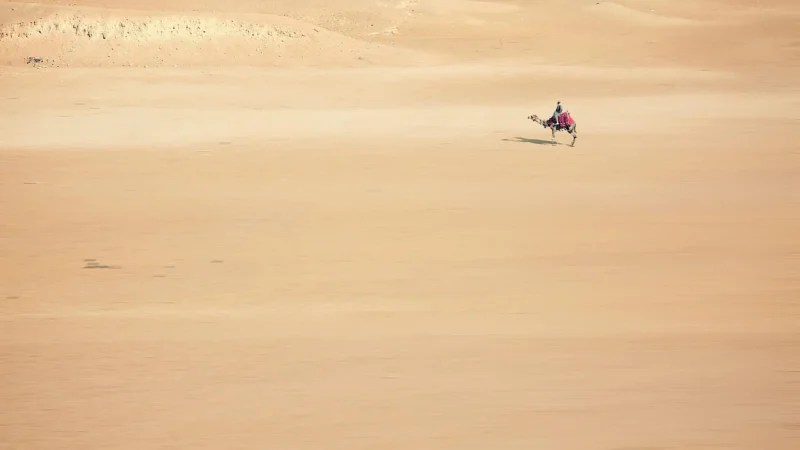 DAN-A T244 camel torebka skórzana damska kuferek – camel