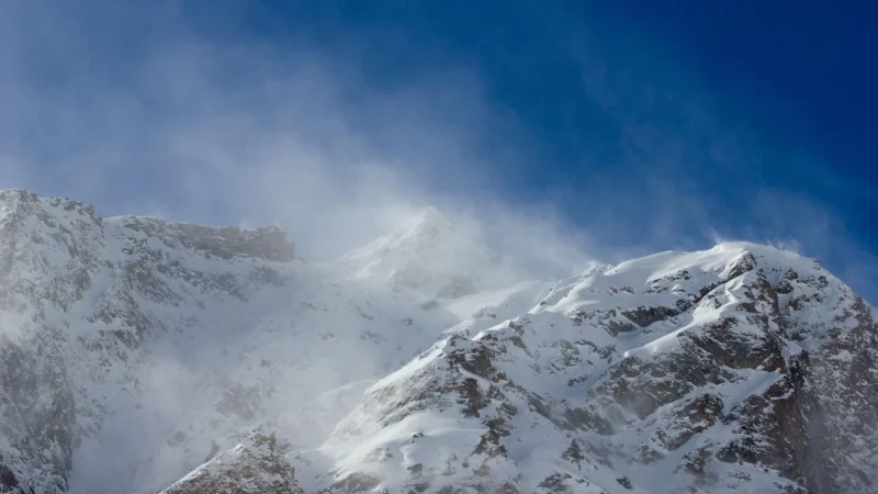 ELBRUS Ekawa Wr Black Yellow