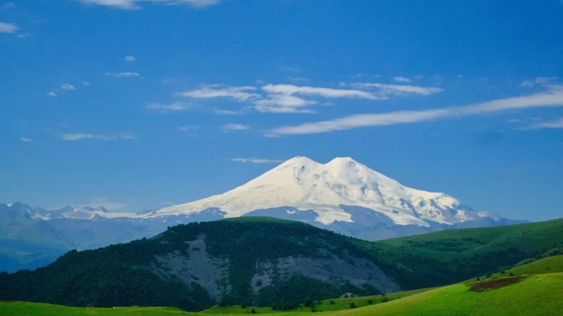 Elbrus Walizka Twarda Miami 40 Sulphur Spring