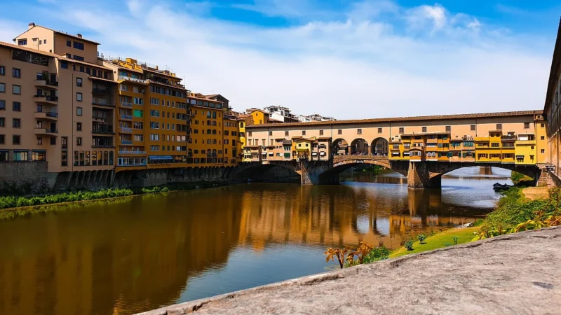 Florence 19 – żółty skóra naturalna