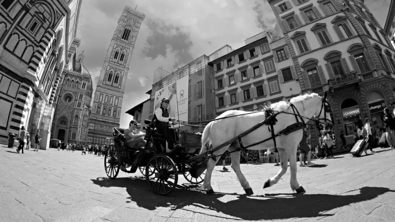 Florence 33