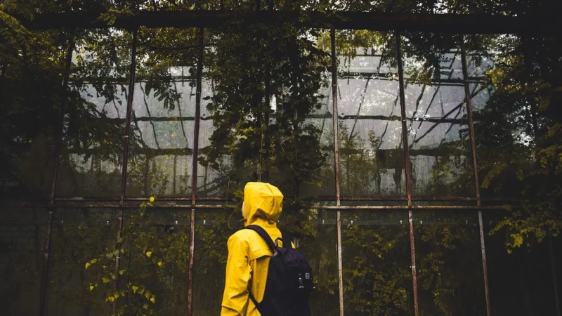 Jansport plecak kolor turkusowy duży gładki