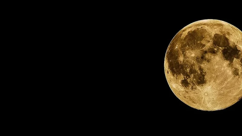 Luna Koszula damska 39 granatowa w piórka XL krótka rękaw 7/8 nocna bawełniana