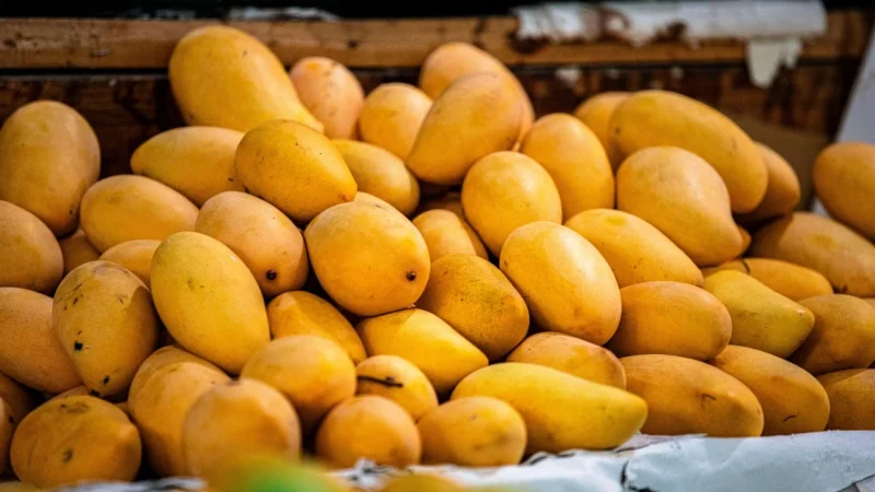 Mango Muszkieterki Martina 27071152 Brązowy
