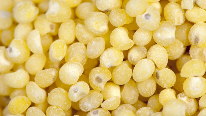 Millet Plecak Mixt 15 MIS2236 Czarny