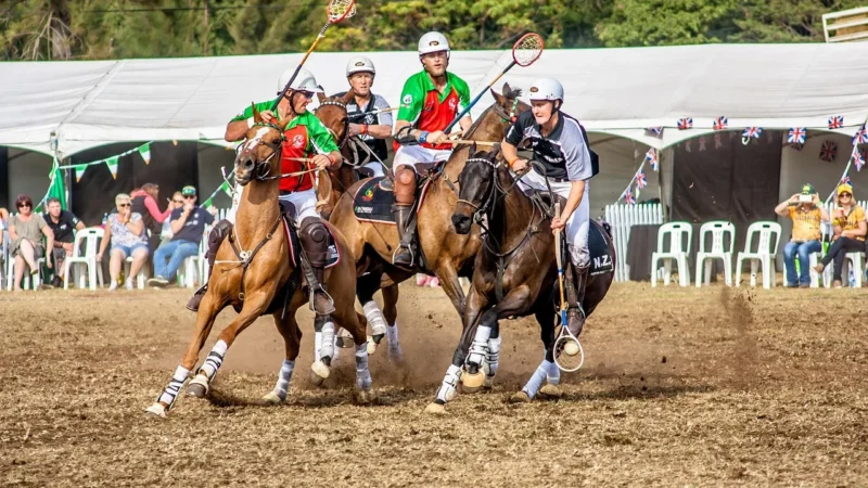 Polo Ralph Lauren koszula bawełniana damska regular z kołnierzykiem klasycznym