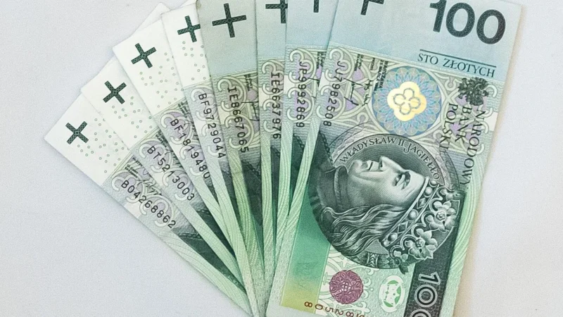 Sprayground Powder 3Am Money Bear Plecak biały