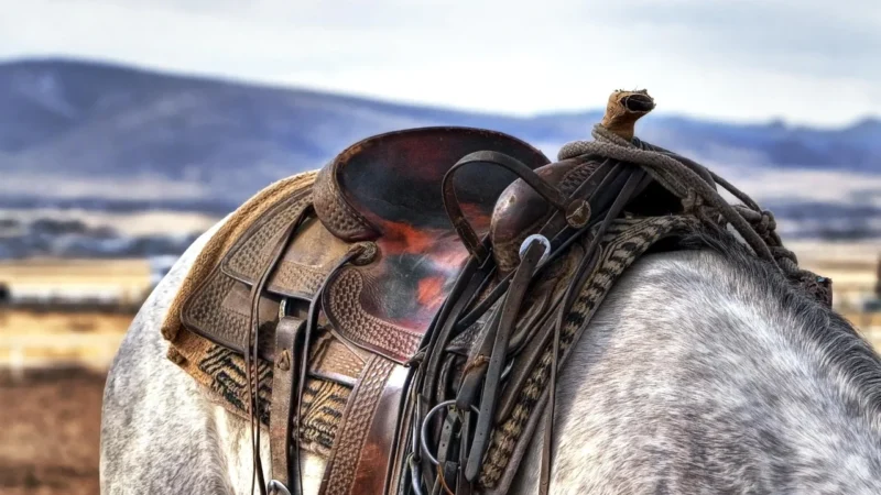 Torebka TOMMY HILFIGER – Leather Statement Saddle Bag AW0AW12322 GXF