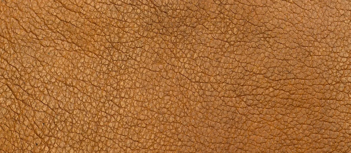Torebka TRUSSARDI – Ardisia Shopping 75B01324 Sepia Tint B245