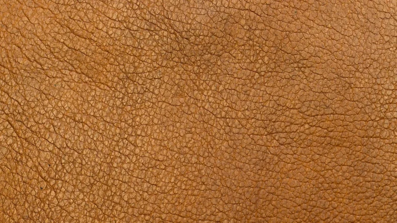 Torebka TRUSSARDI – Ardisia Shopping 75B01324 Sepia Tint B245