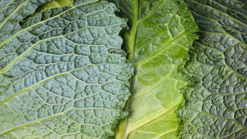 Włoska Torebka worek Skórzana zamsz Naturalny U35